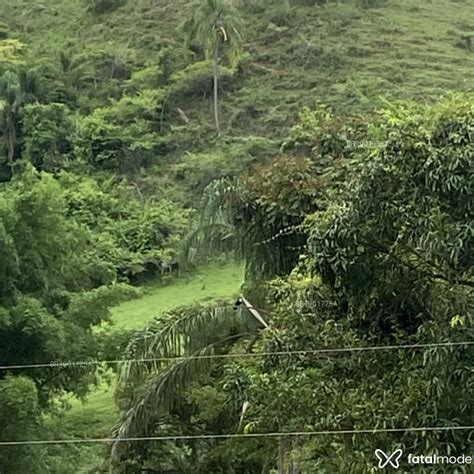 mulher de programa em ipatinga|Acompanhantes em Ipatinga